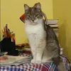 Отзыв от Валерия Миронова